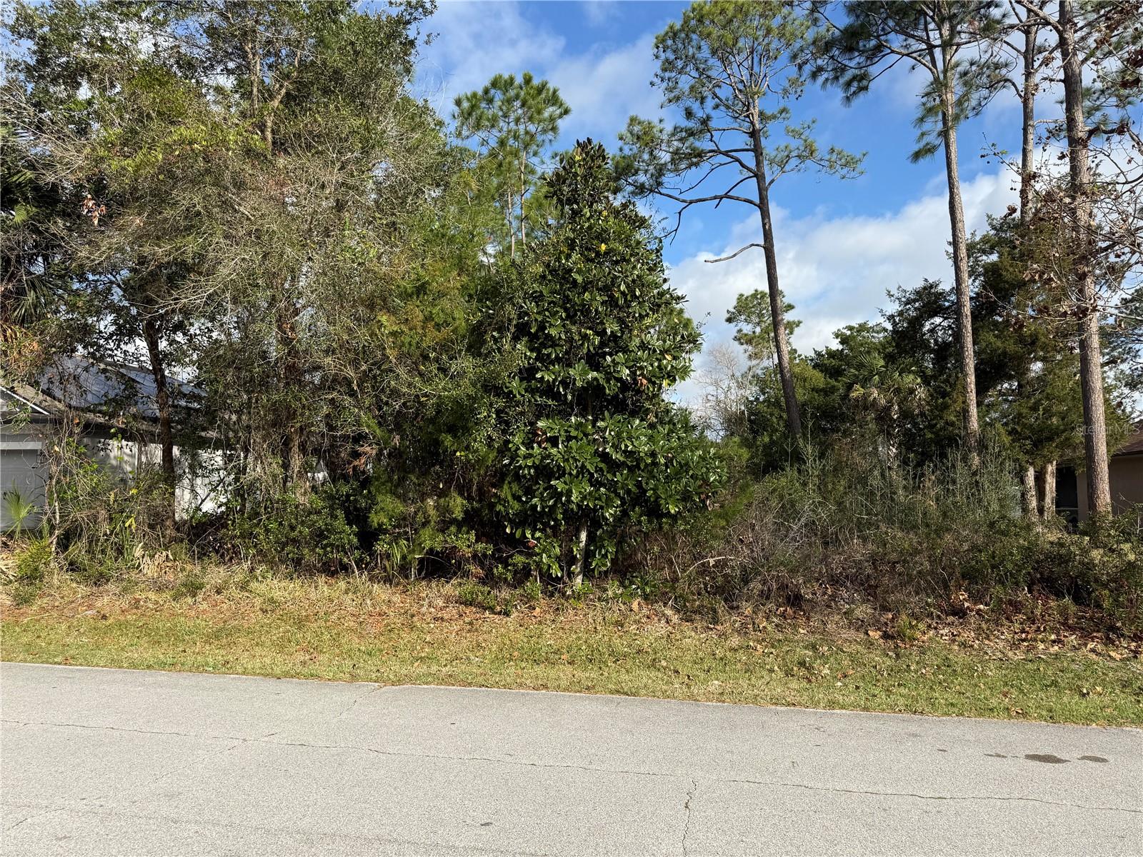 91 FERNDALE LN, PALM COAST, FL, 32137