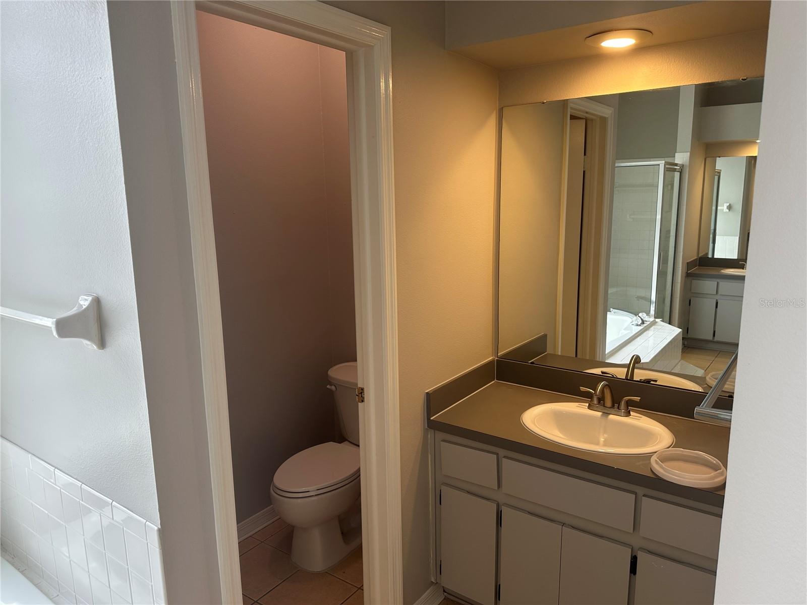 10311 DEEPBROOK DR, RIVERVIEW, FL, 33569