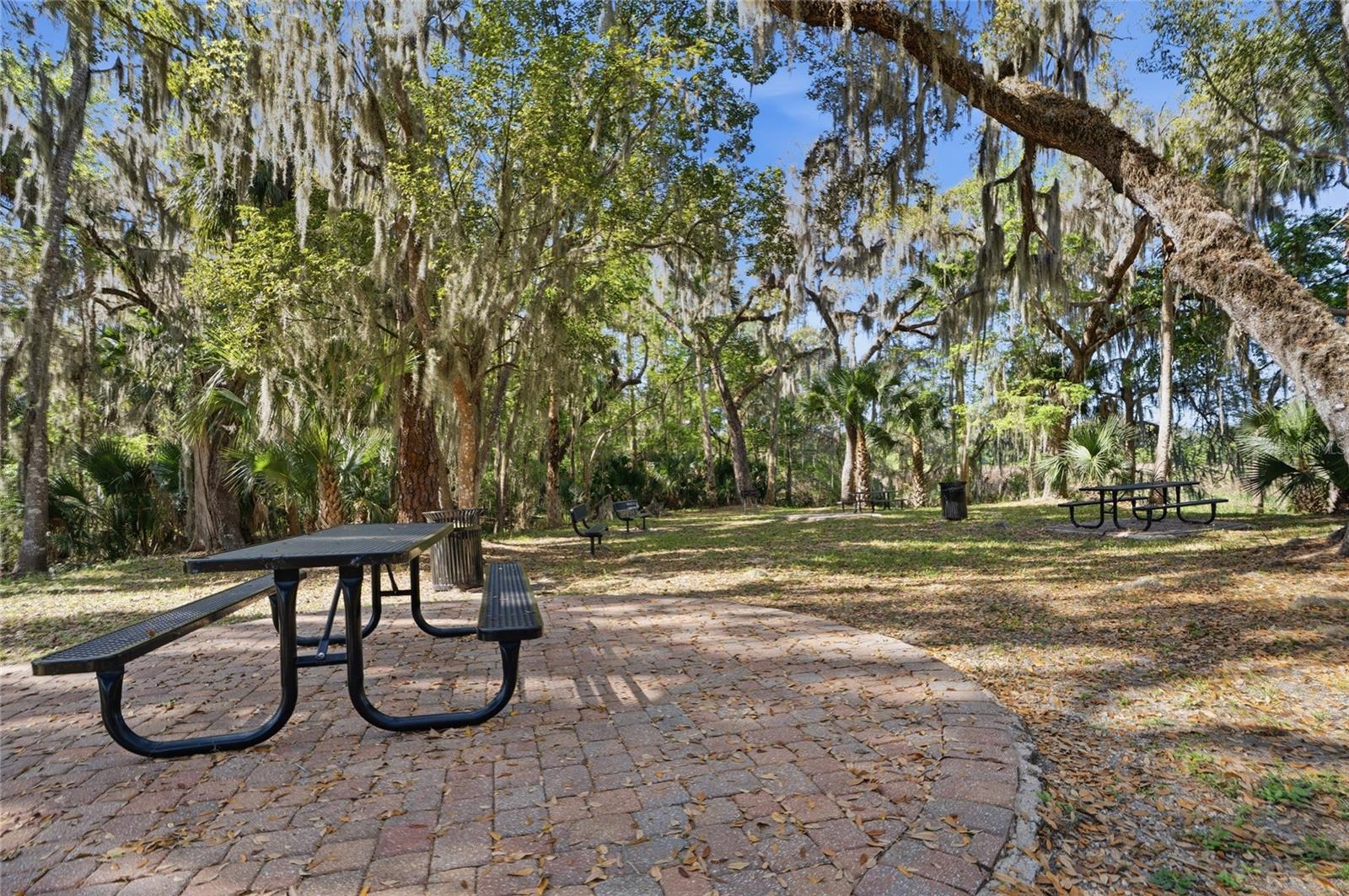 771 LAZIO CIR, DEBARY, FL, 32713