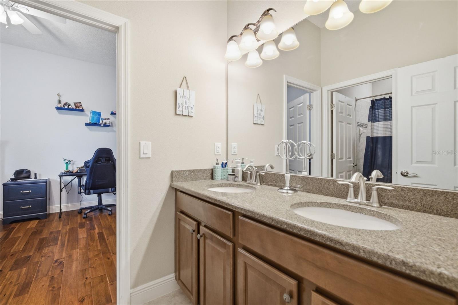 3220 AZURE SKY WAY, WESLEY CHAPEL, FL, 33544