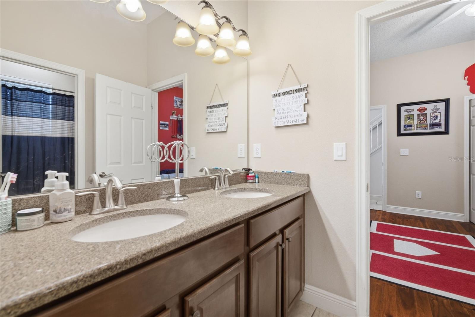 3220 AZURE SKY WAY, WESLEY CHAPEL, FL, 33544