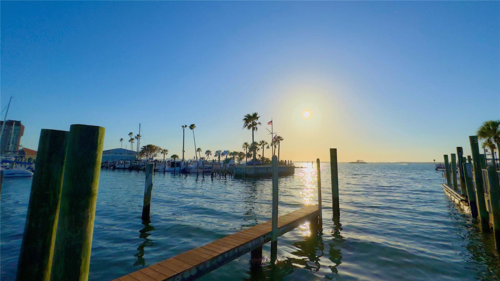 1220 ORANGE AVE, DUNEDIN, FL, 34698