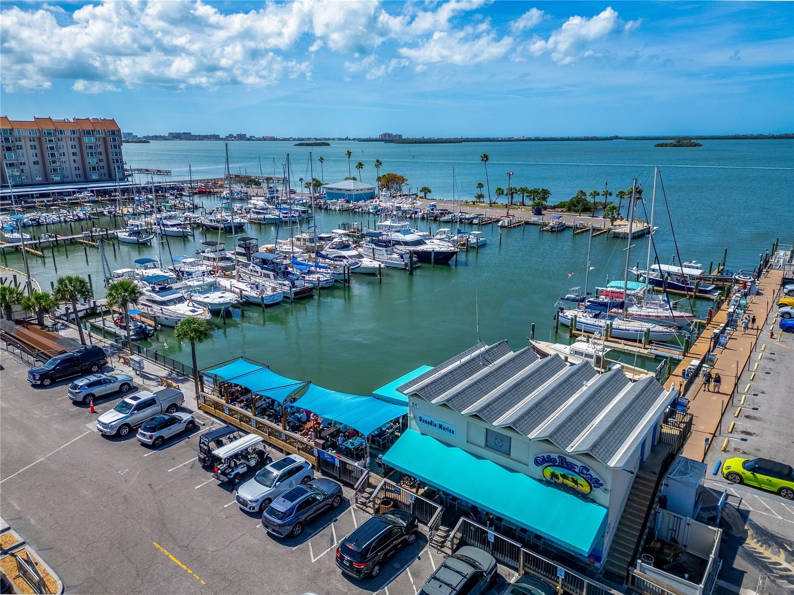 1220 ORANGE AVE, DUNEDIN, FL, 34698