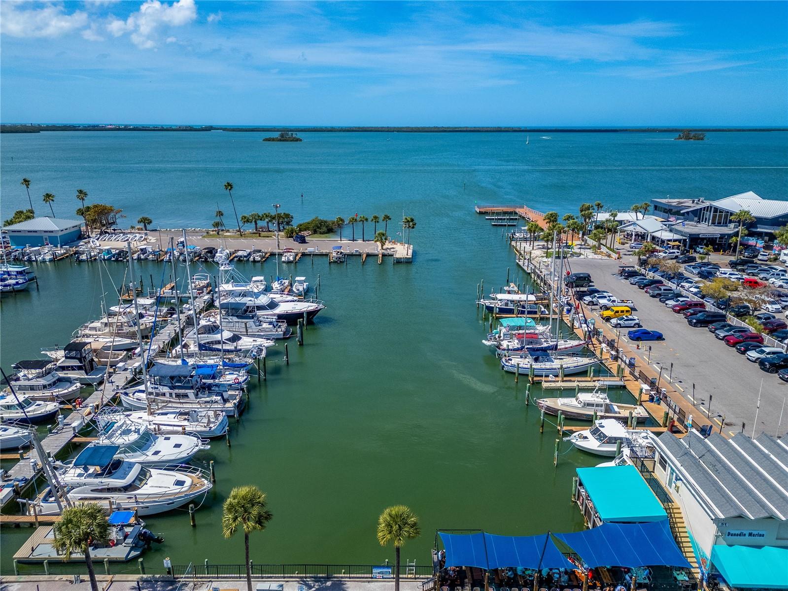 1220 ORANGE AVE, DUNEDIN, FL, 34698