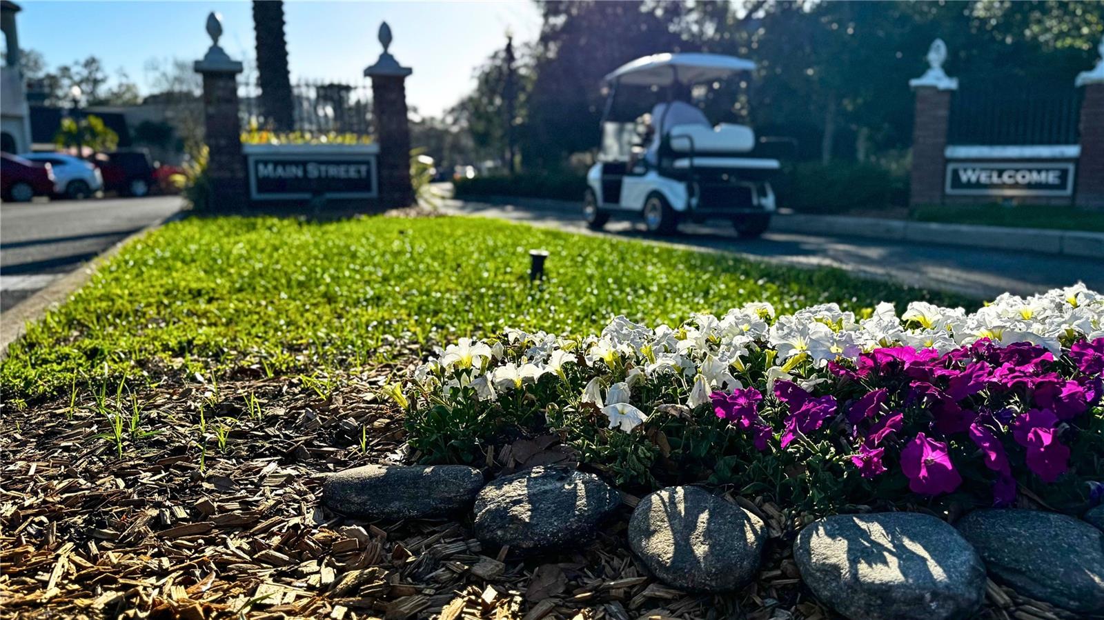 1220 ORANGE AVE, DUNEDIN, FL, 34698