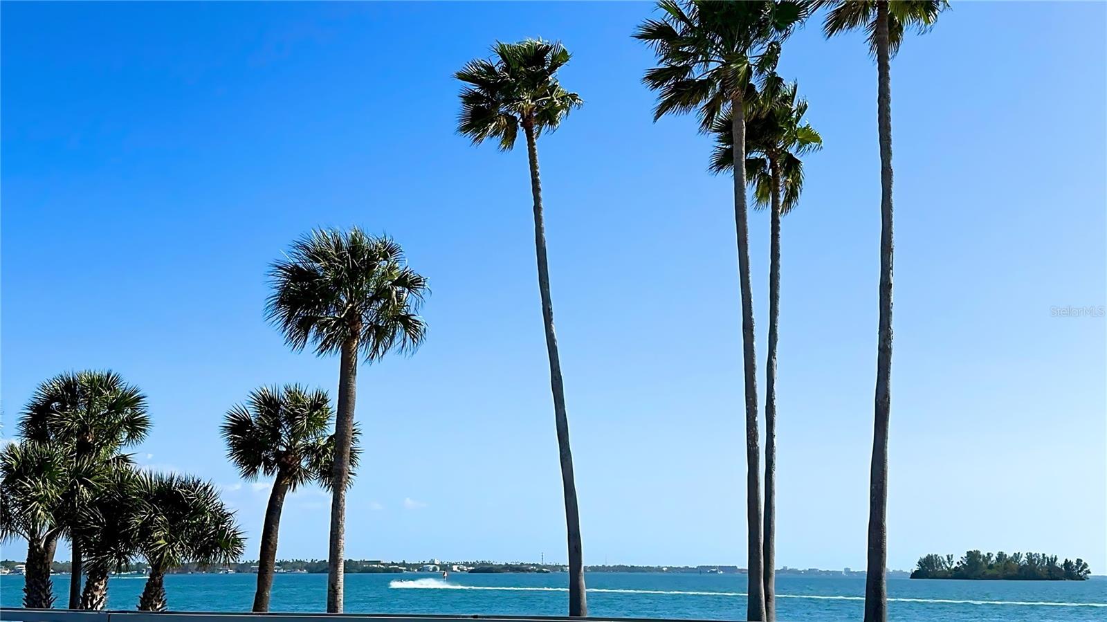 1220 ORANGE AVE, DUNEDIN, FL, 34698