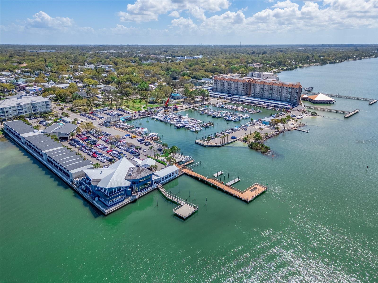 1220 ORANGE AVE, DUNEDIN, FL, 34698