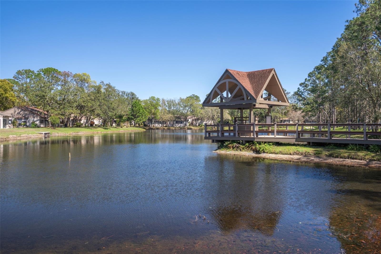 7348 CLEARMEADOW DR, SPRING HILL, FL, 34606