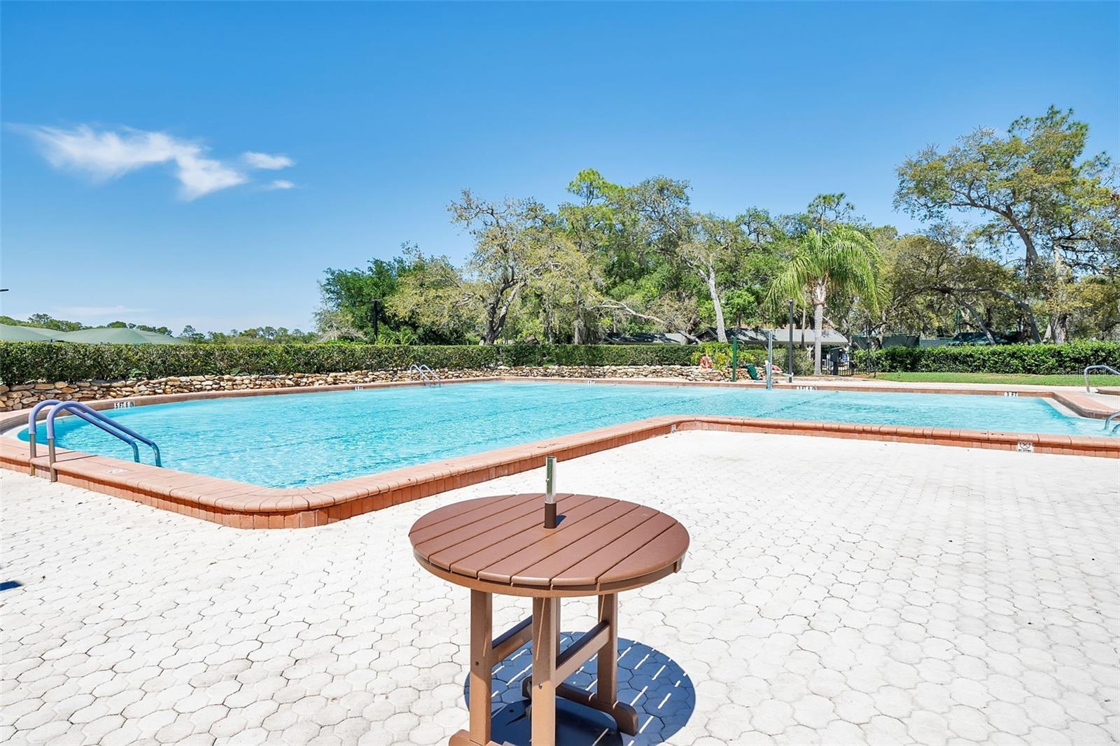 7348 CLEARMEADOW DR, SPRING HILL, FL, 34606