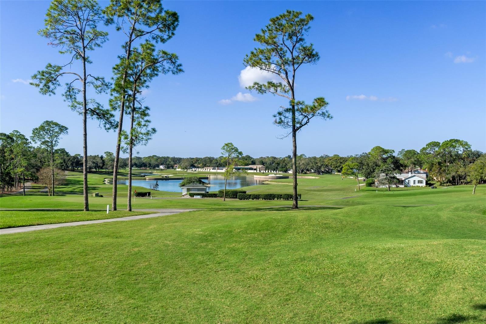 7348 CLEARMEADOW DR, SPRING HILL, FL, 34606
