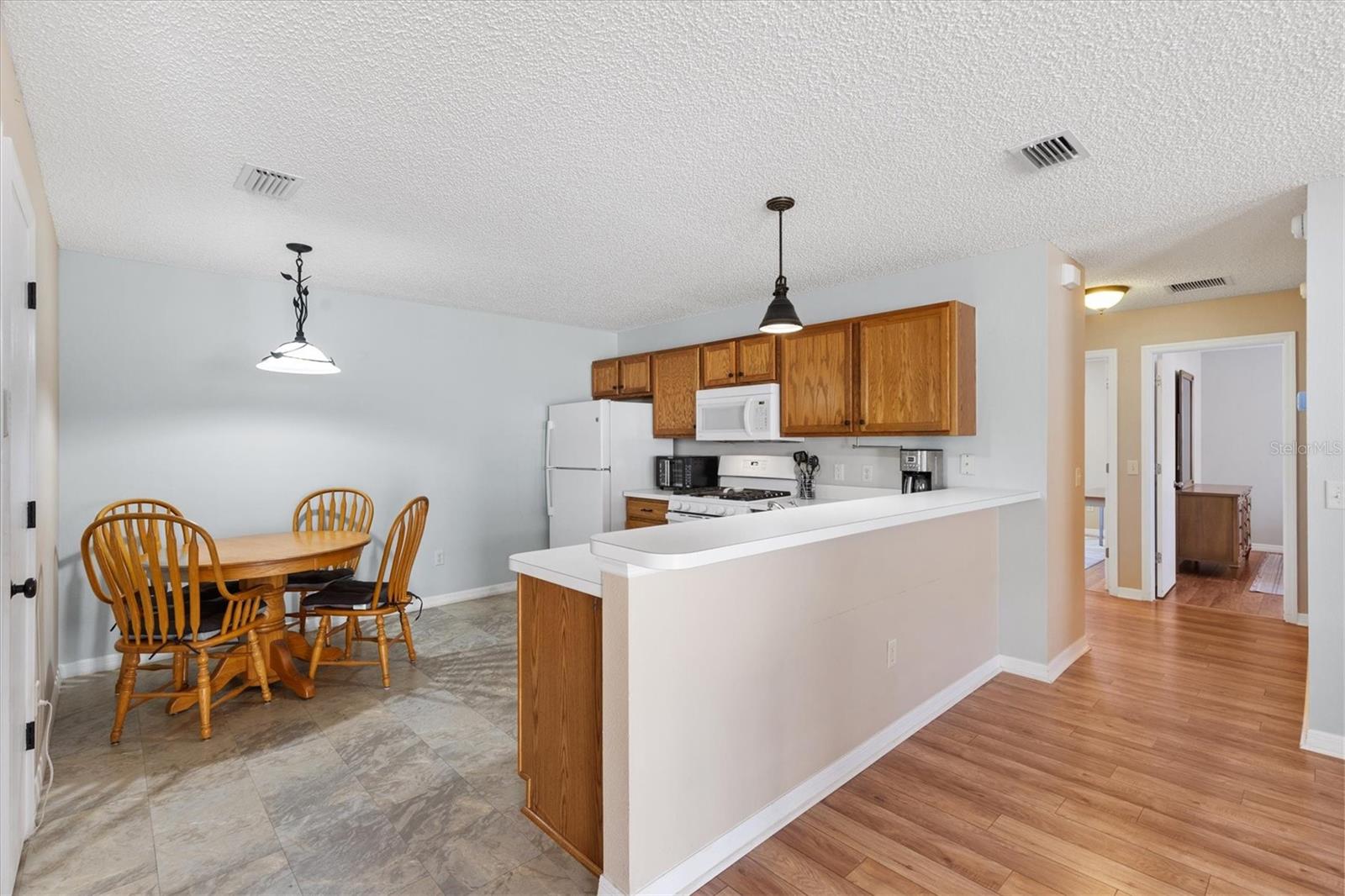 17470 SE 93RD VINE AVE, THE VILLAGES, FL, 32162