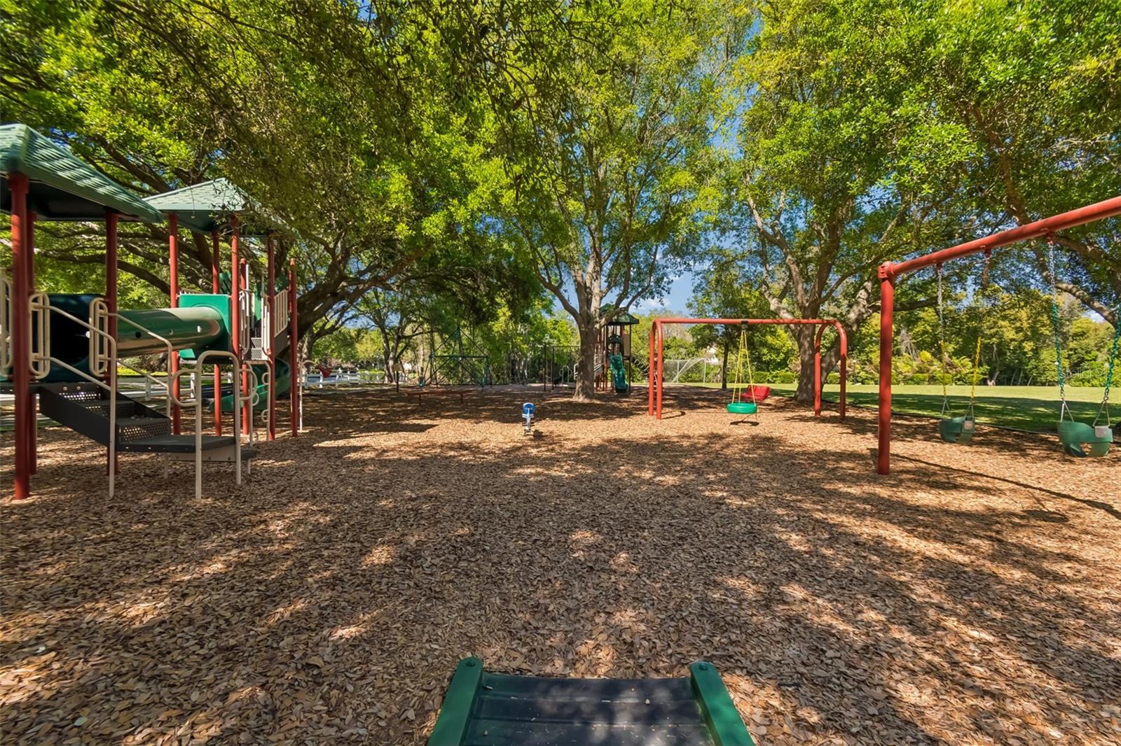 17008 MADRES DE AVILA, TAMPA, FL, 33613