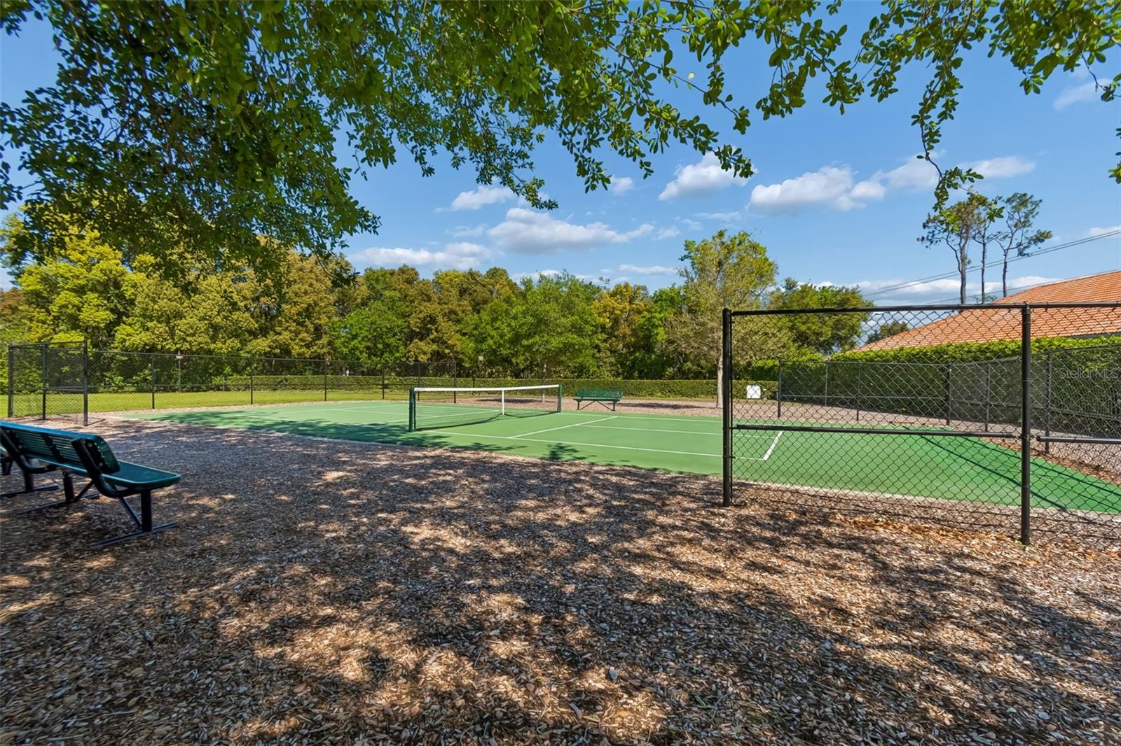 17008 MADRES DE AVILA, TAMPA, FL, 33613