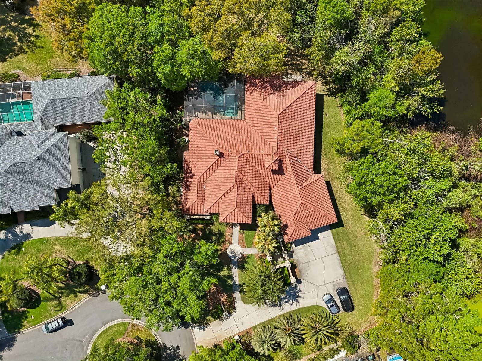 17008 MADRES DE AVILA, TAMPA, FL, 33613