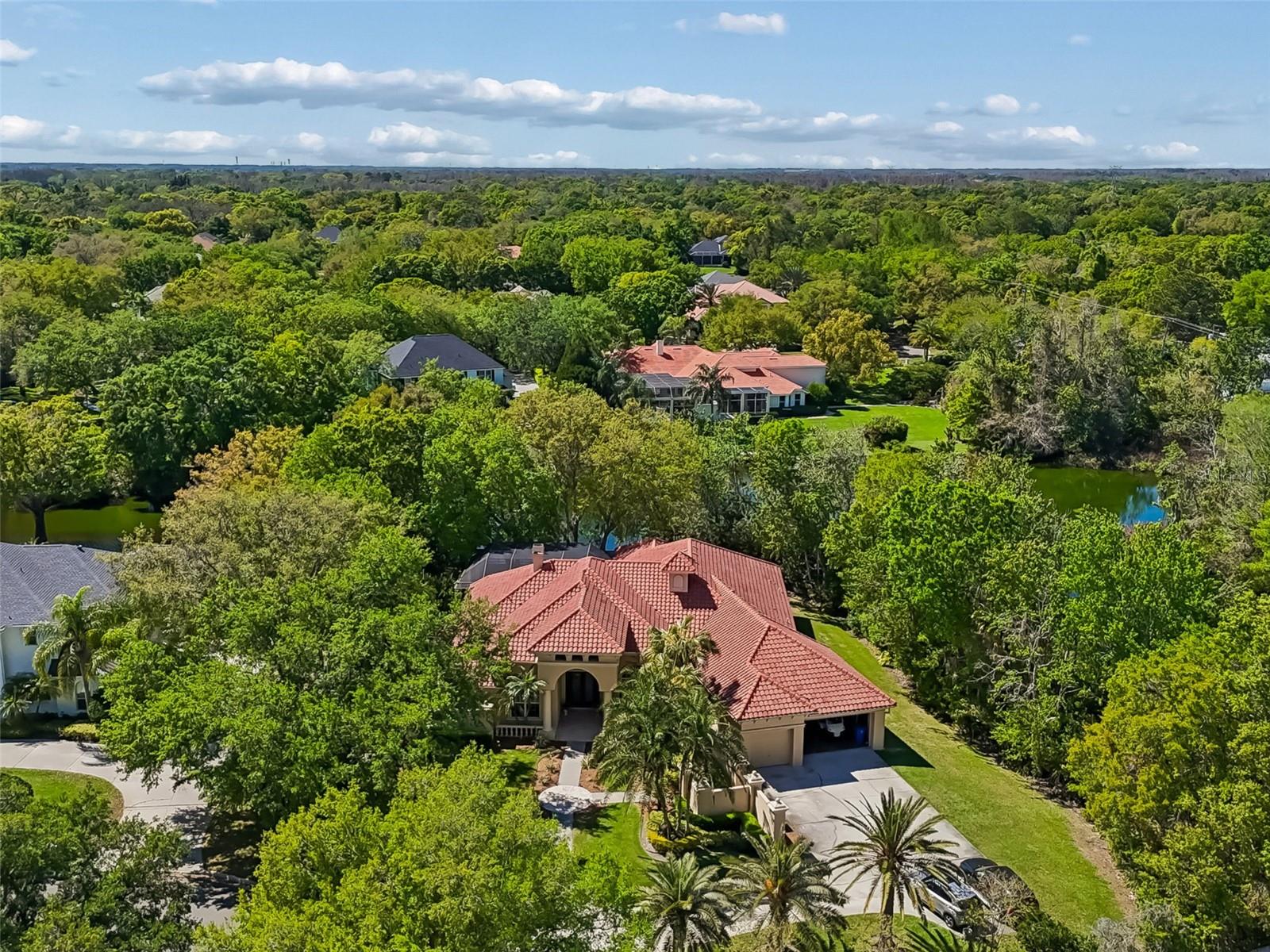 17008 MADRES DE AVILA, TAMPA, FL, 33613