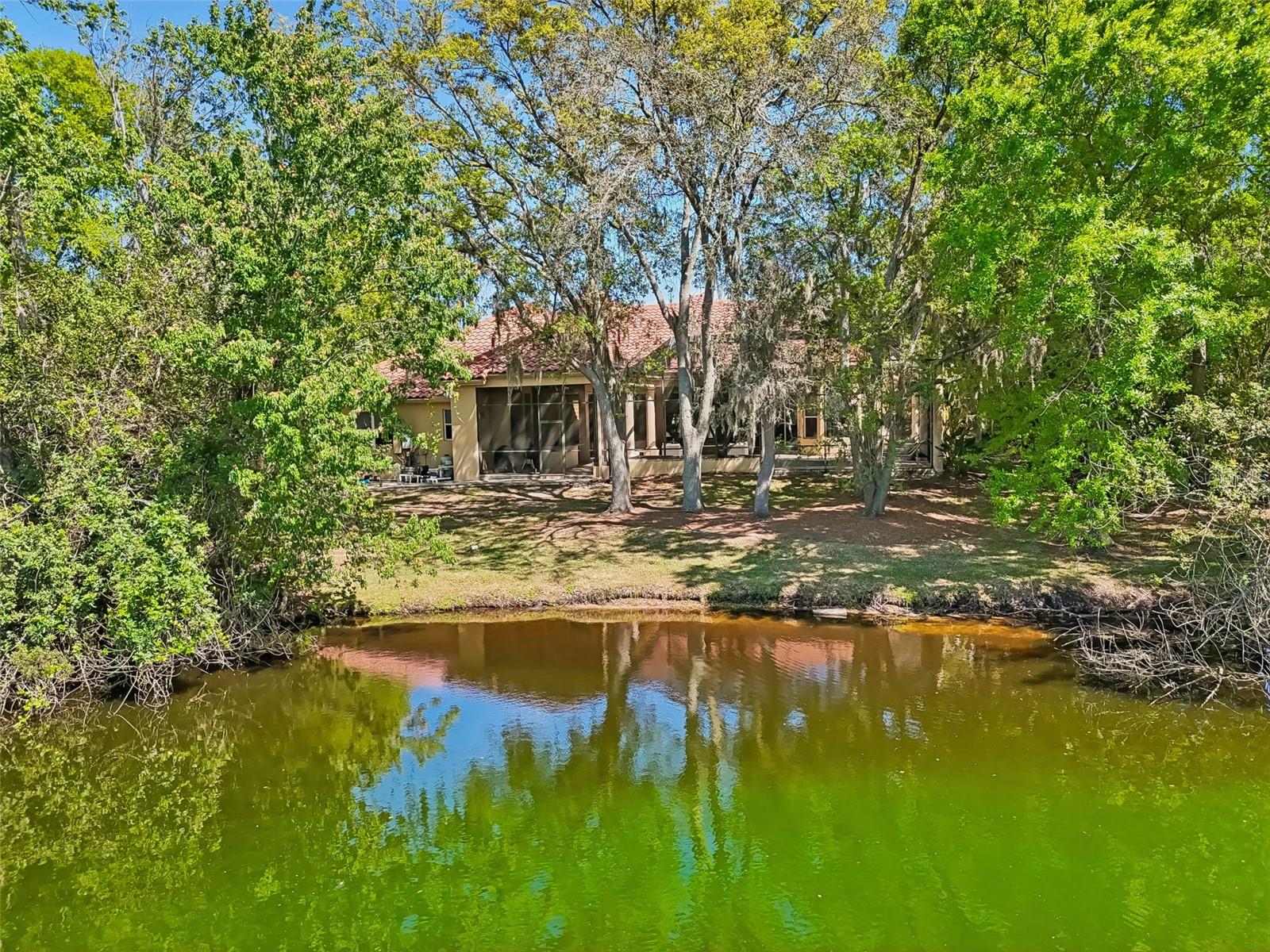 17008 MADRES DE AVILA, TAMPA, FL, 33613