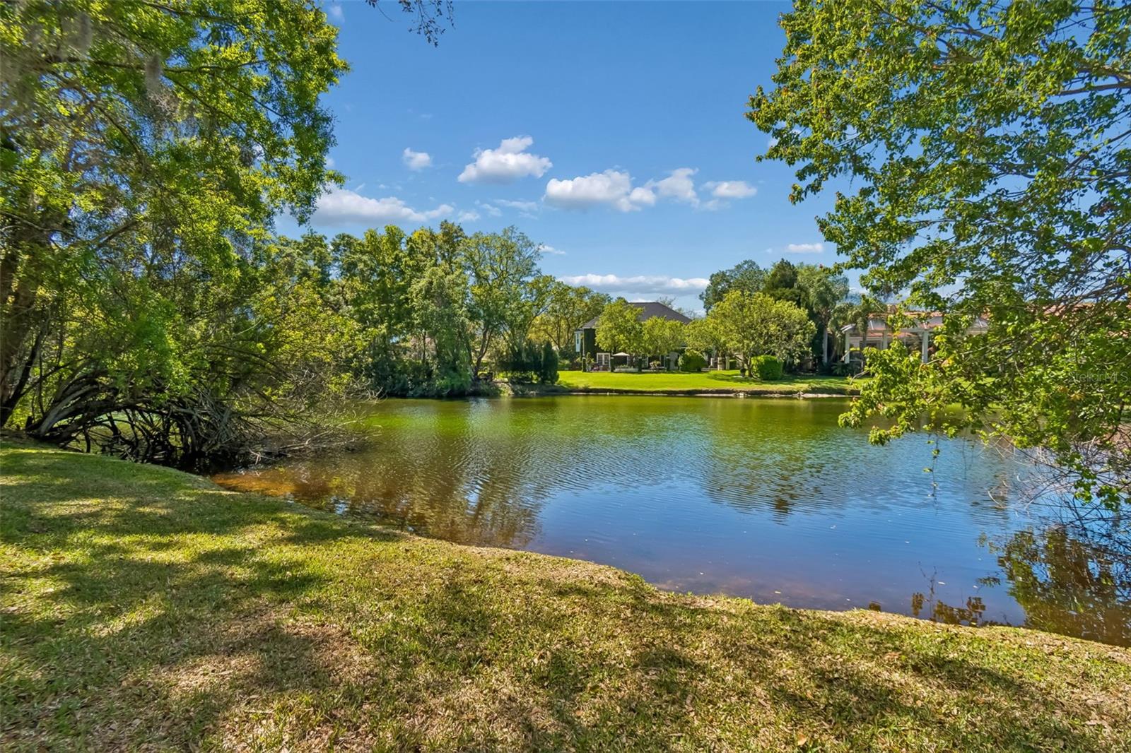 17008 MADRES DE AVILA, TAMPA, FL, 33613