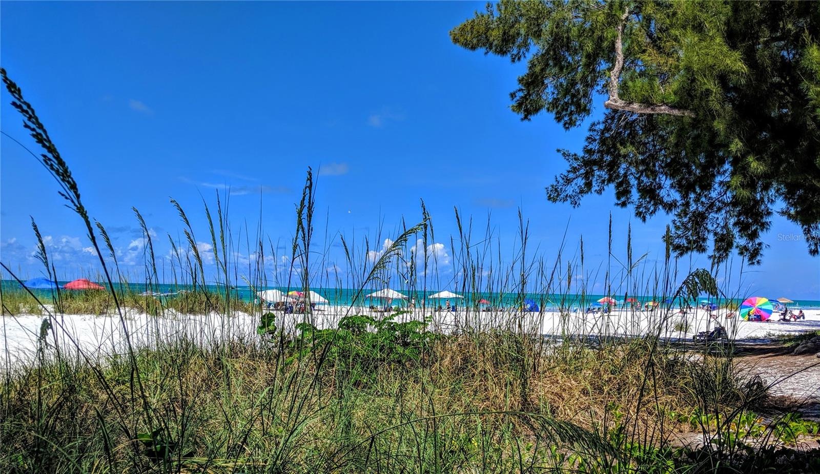 3807 LAKE BAYSHORE DR #H-416, BRADENTON, FL, 34205