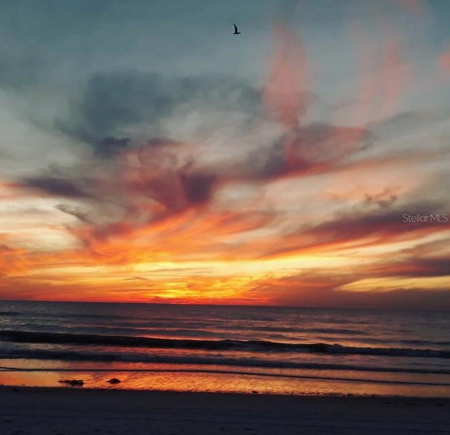 200 N BETTY LN #5F, CLEARWATER, FL, 33755