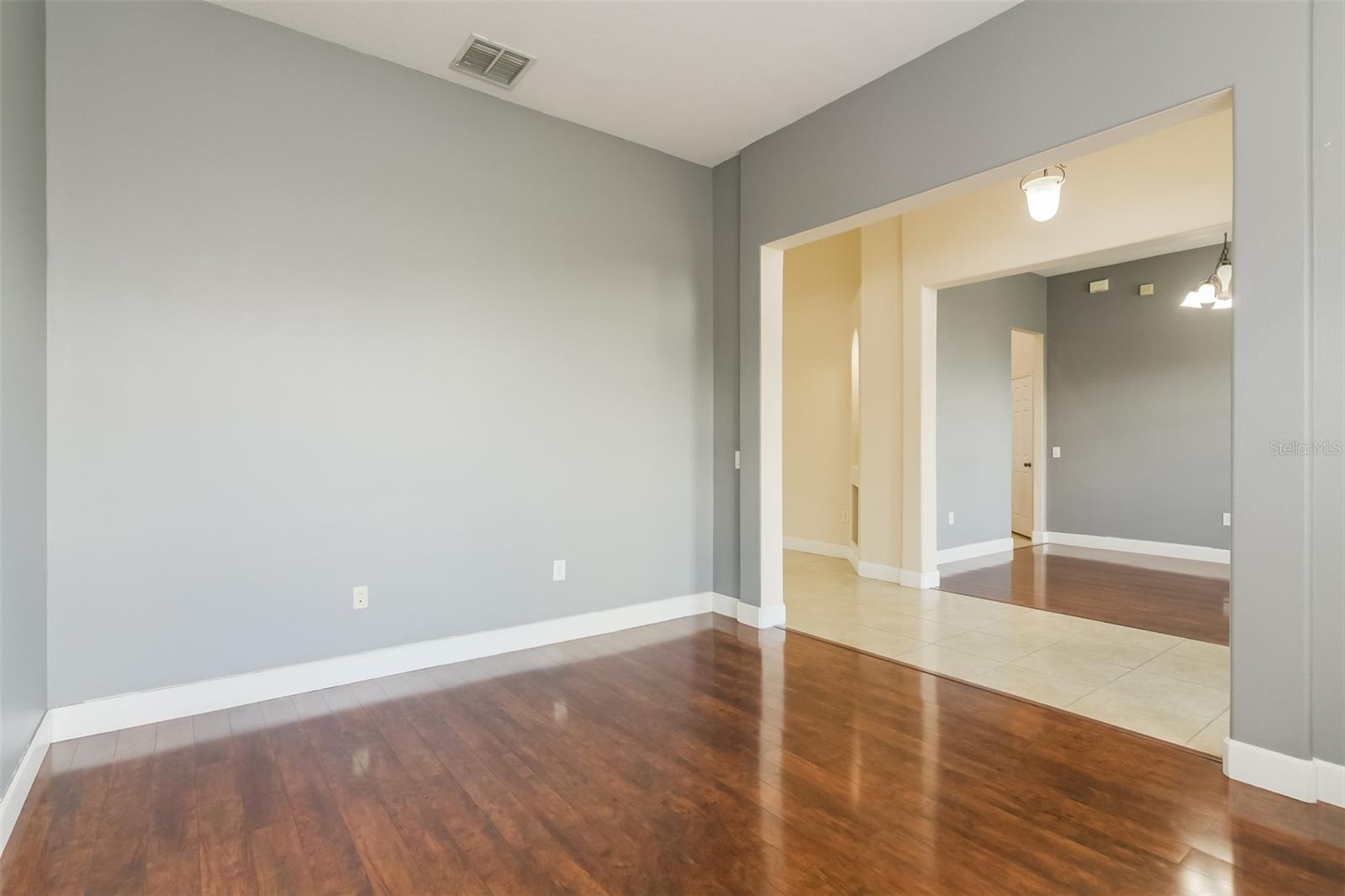 3249 ROLLING HILLS LN, APOPKA, FL, 32712
