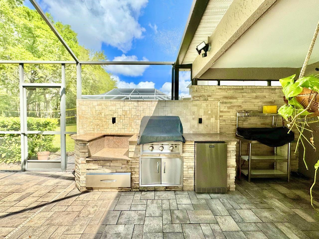 13035 ROYAL GEORGE AVE, ODESSA, FL, 33556