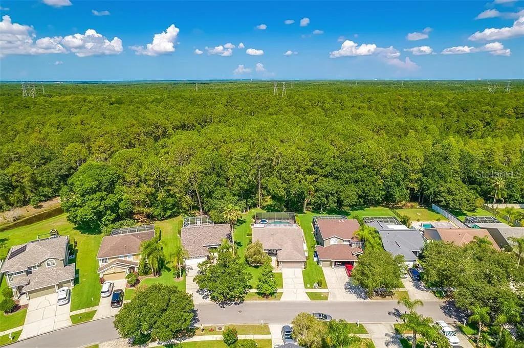 13035 ROYAL GEORGE AVE, ODESSA, FL, 33556