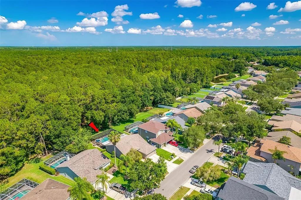 13035 ROYAL GEORGE AVE, ODESSA, FL, 33556