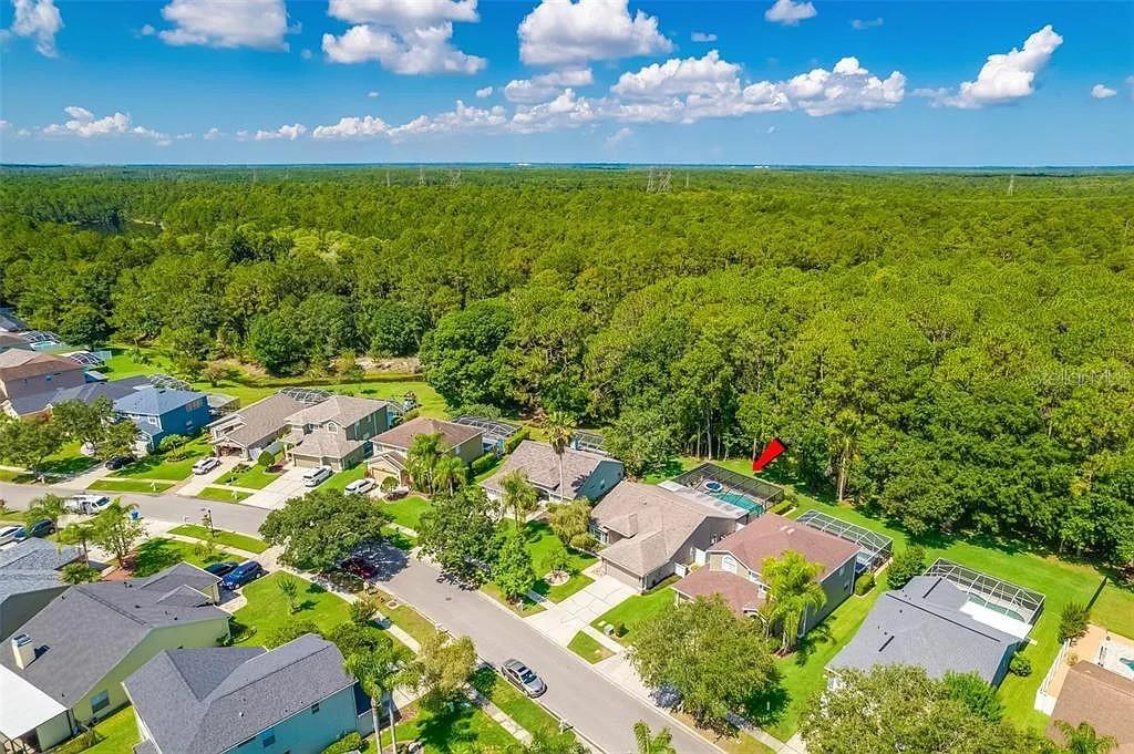 13035 ROYAL GEORGE AVE, ODESSA, FL, 33556