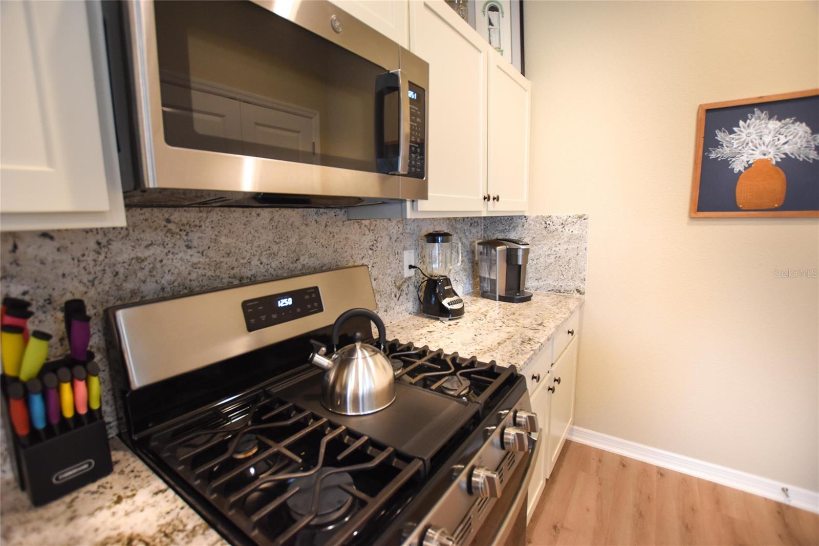 6673 MARY LOOP, THE VILLAGES, FL, 34762