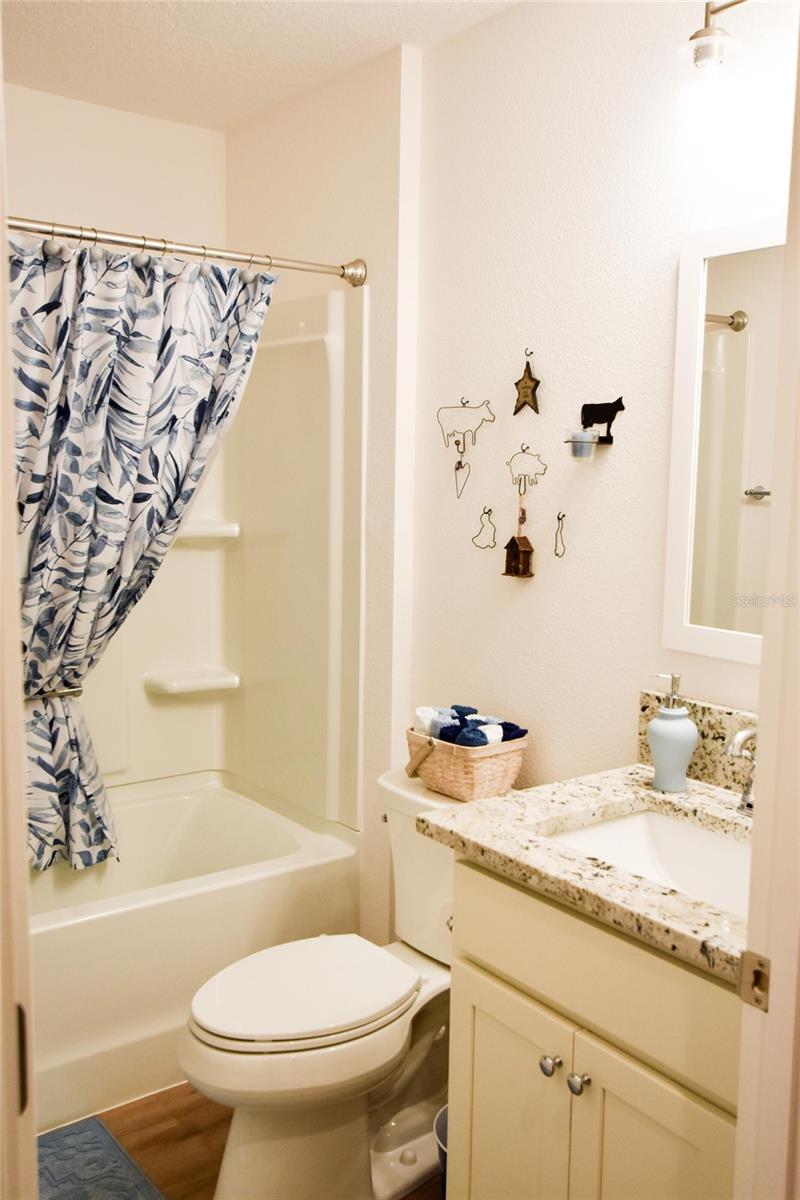 6673 MARY LOOP, THE VILLAGES, FL, 34762