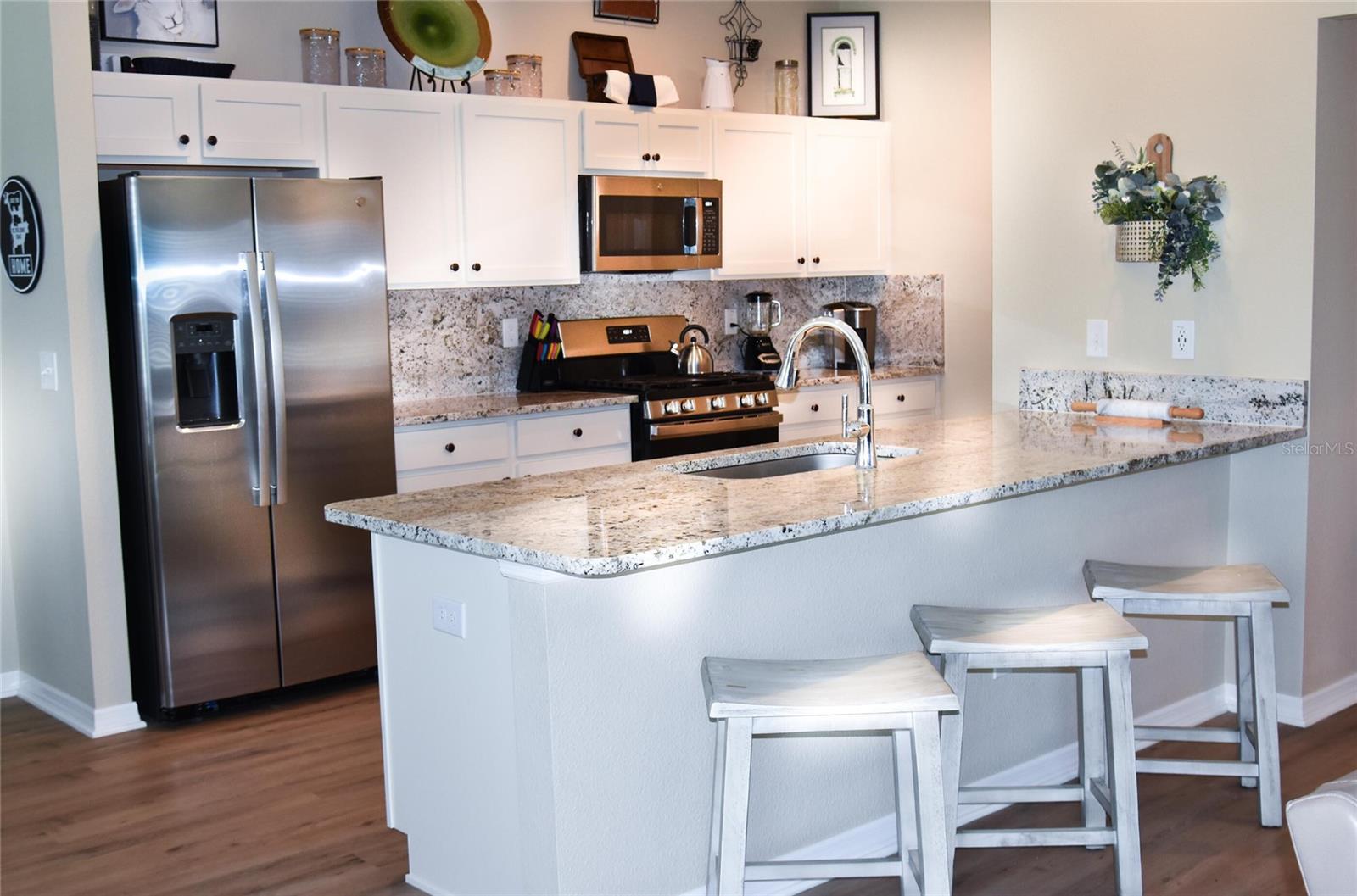 6673 MARY LOOP, THE VILLAGES, FL, 34762