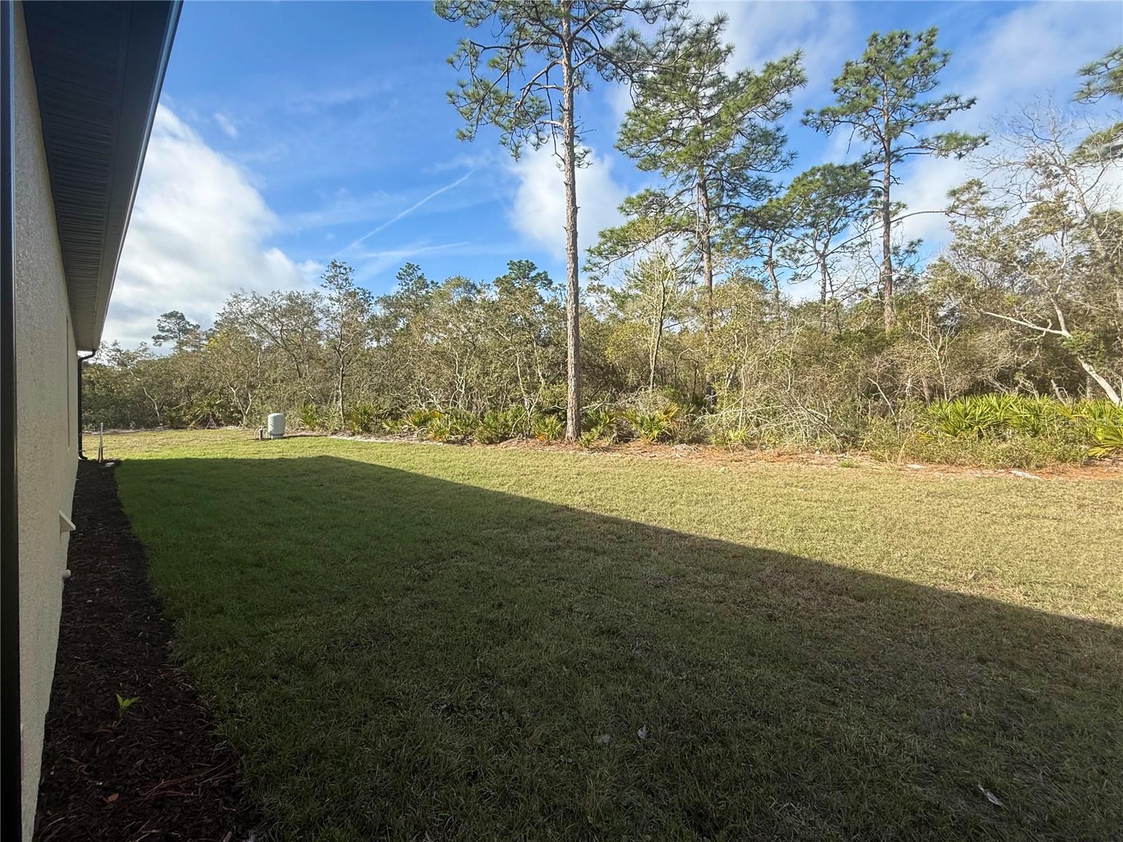 30260 W THYME AVE, EUSTIS, FL, 32736