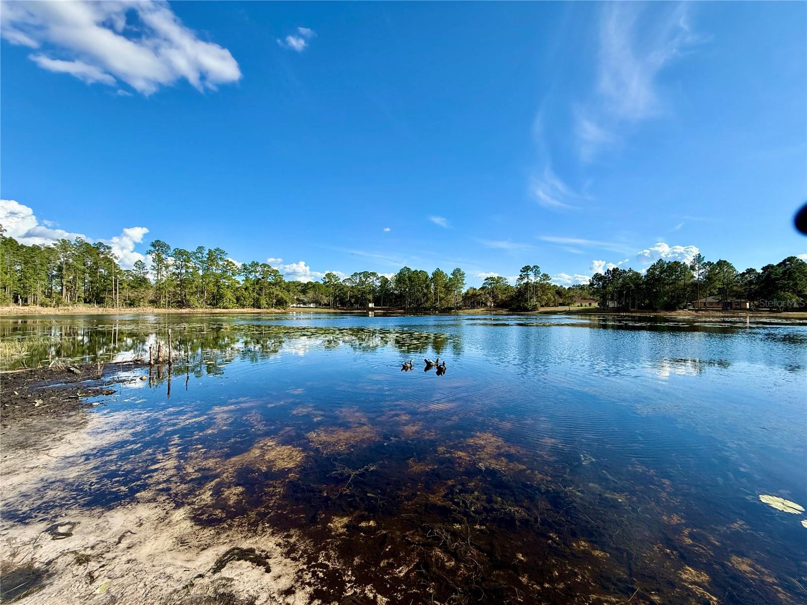 30260 W THYME AVE, EUSTIS, FL, 32736