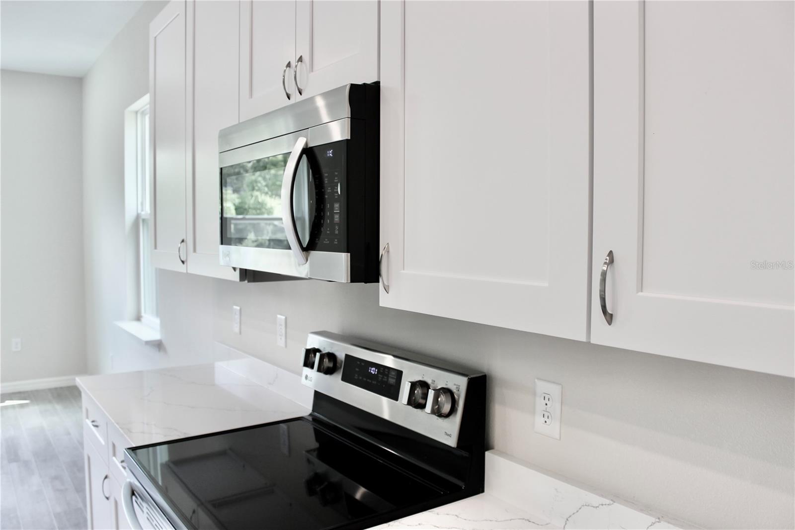 30260 W THYME AVE, EUSTIS, FL, 32736