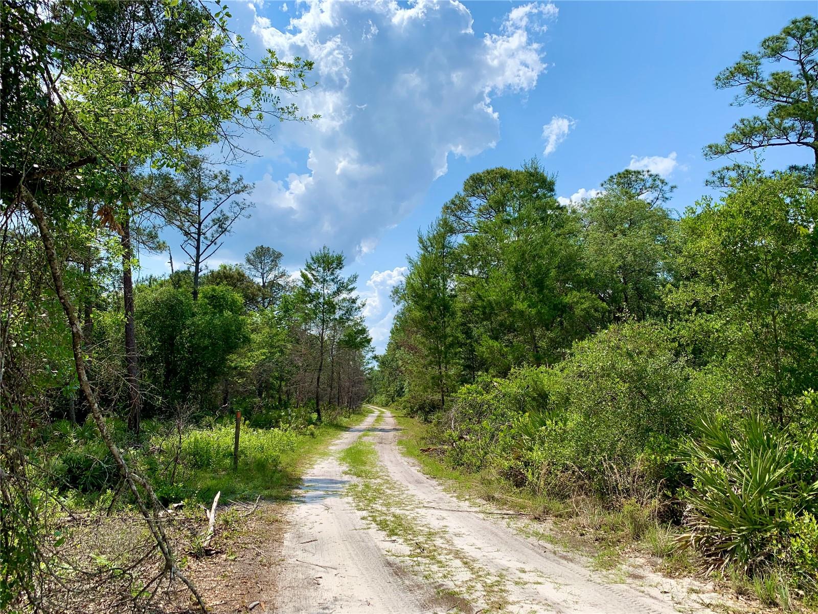 30260 W THYME AVE, EUSTIS, FL, 32736