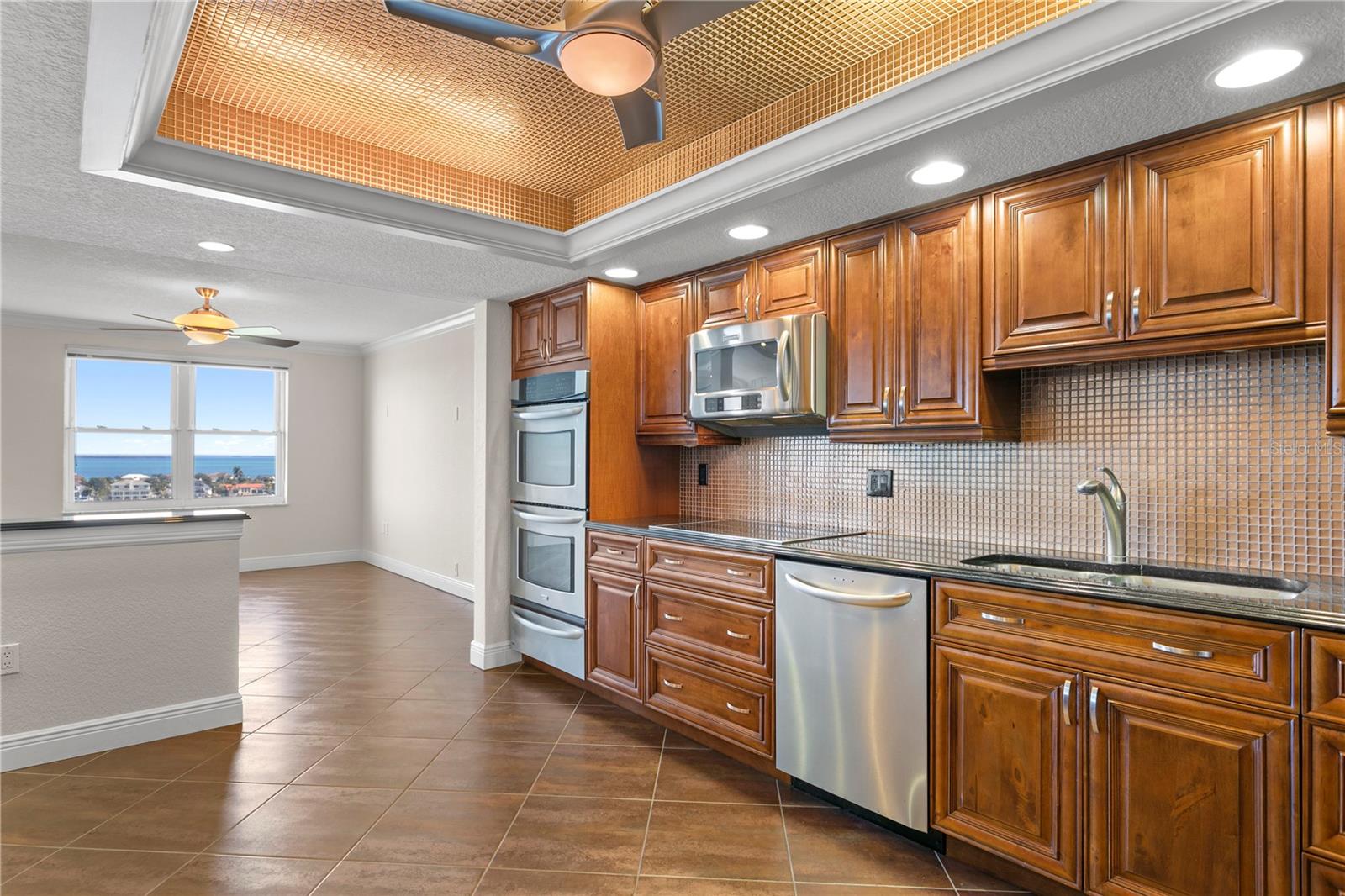 5200 BRITTANY DR S #4-1102, ST PETERSBURG, FL, 33715