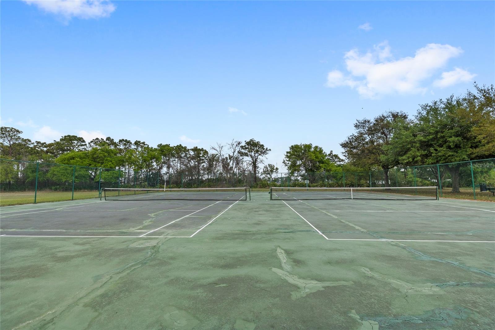 141 WHITE MARSH CIR, ORLANDO, FL, 32824
