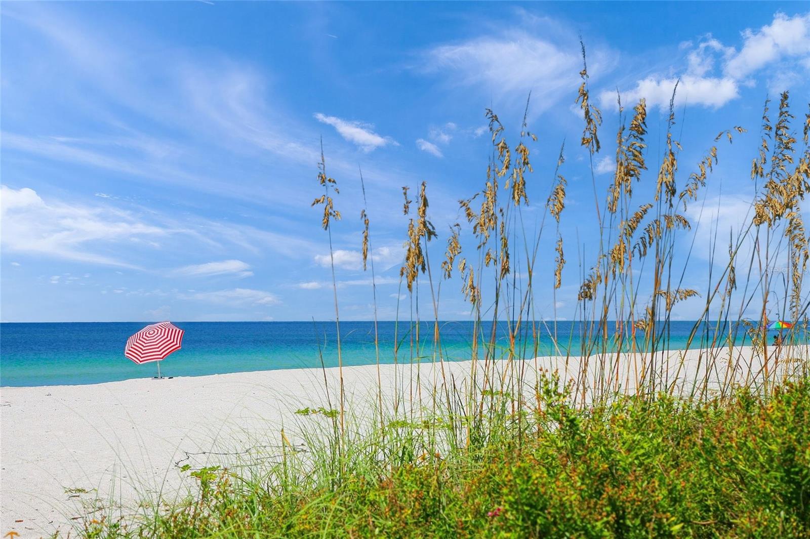 1529 ALLEGHENY DR, SUN CITY CENTER, FL, 33573