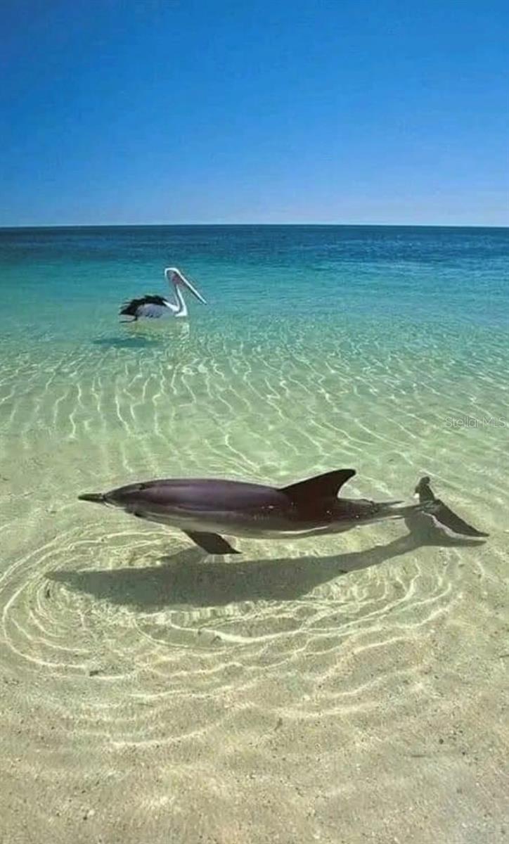 13845 OLD CREEK CT, PARRISH, FL, 34219