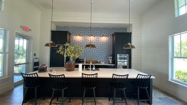 13845 OLD CREEK CT, PARRISH, FL, 34219