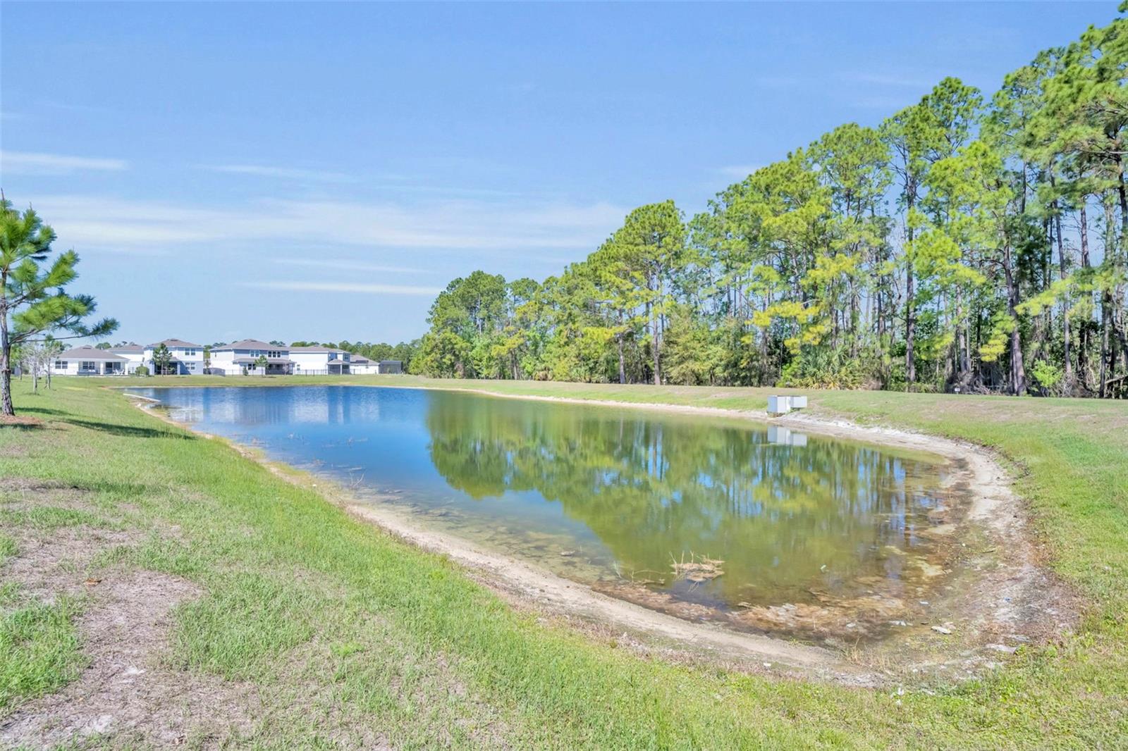 17434 SAW PALMETTO AVE, CLERMONT, FL, 34714