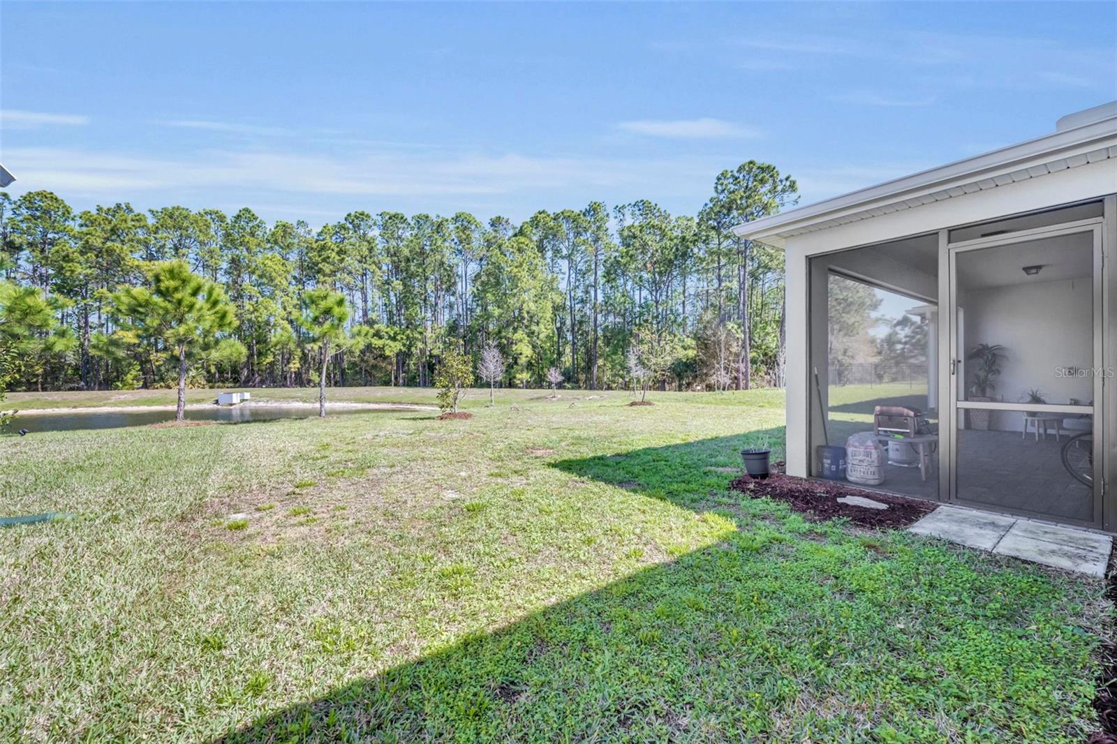 17434 SAW PALMETTO AVE, CLERMONT, FL, 34714