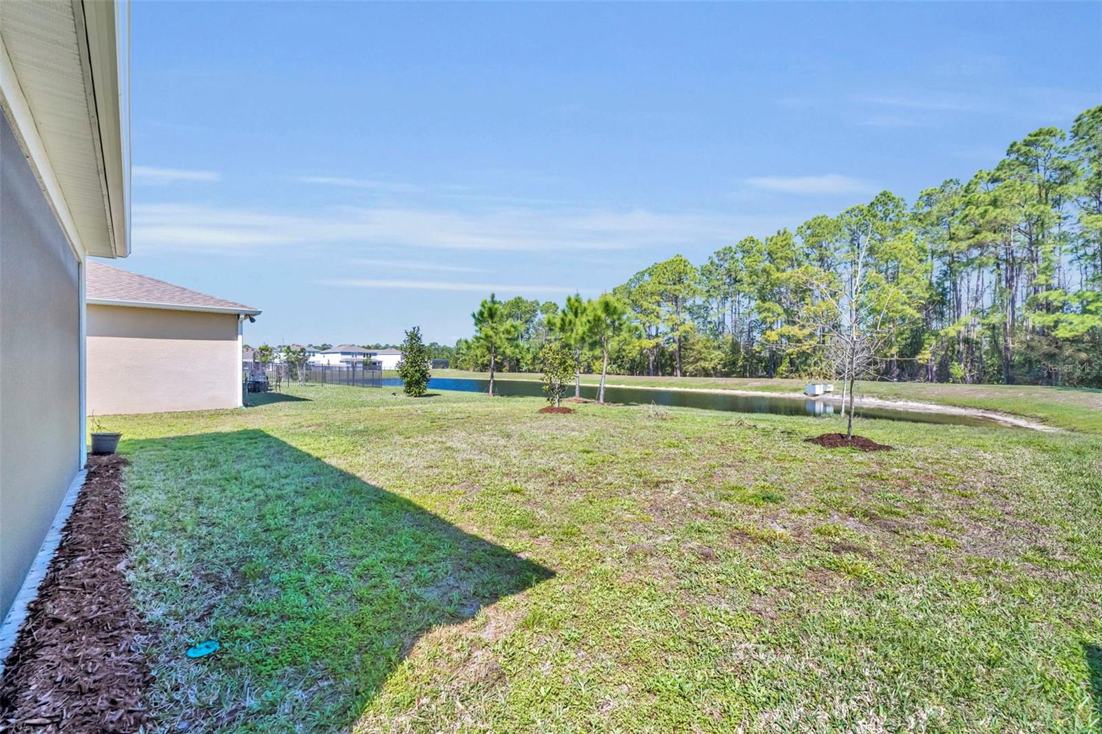 17434 SAW PALMETTO AVE, CLERMONT, FL, 34714
