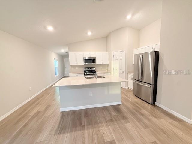 12928 HAWKSTONE TRAIL BLVD, LITHIA, FL, 33547