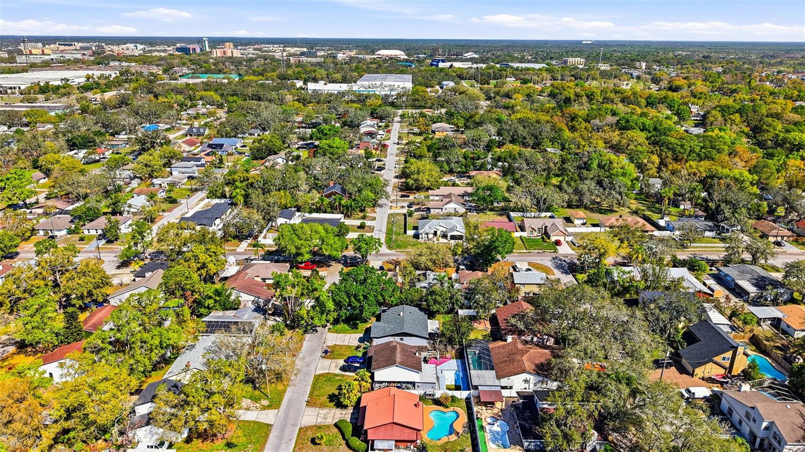 10217 N PAWNEE AVE, TAMPA, FL, 33617