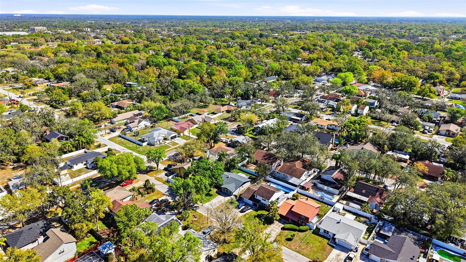 10217 N PAWNEE AVE, TAMPA, FL, 33617