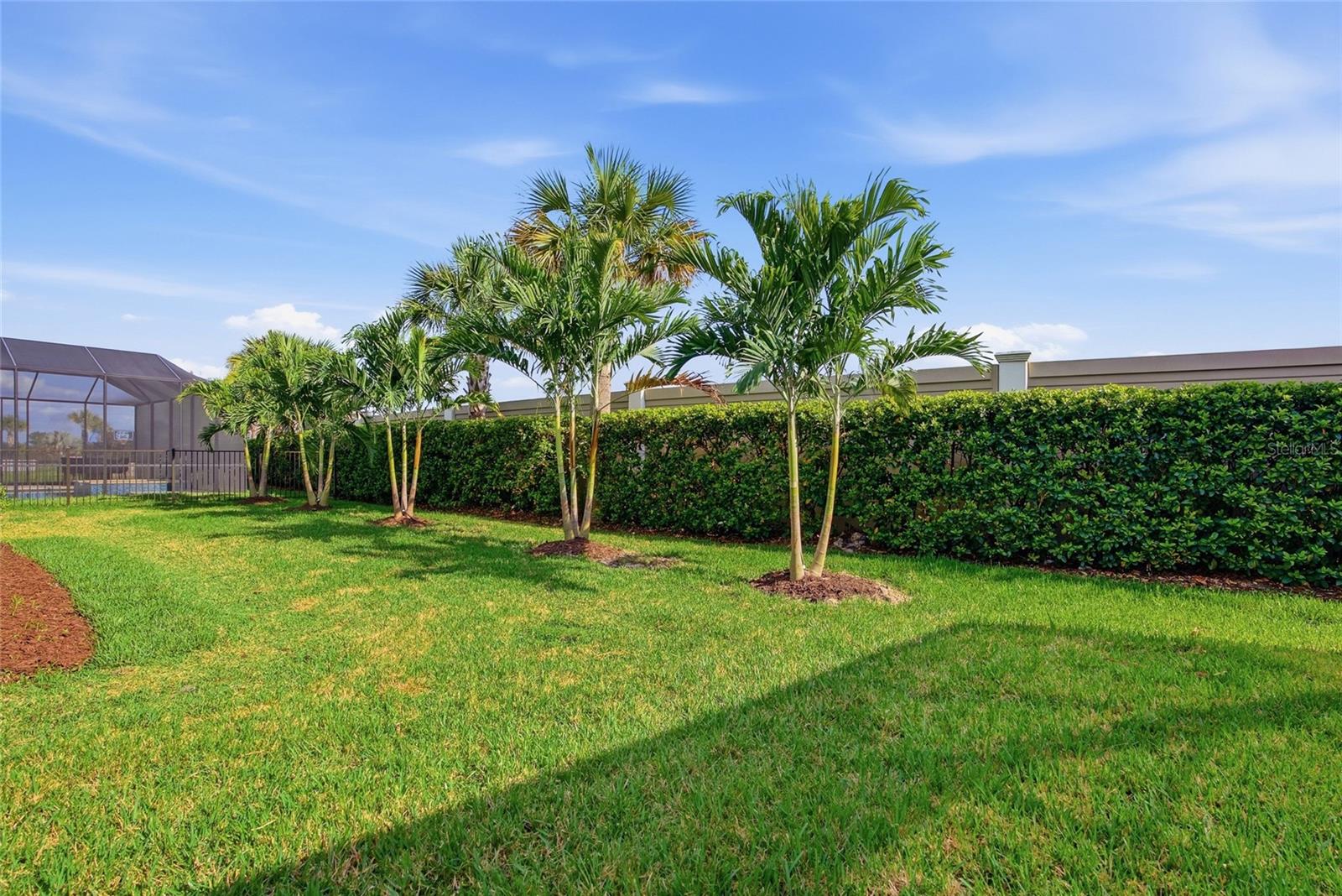 32626 TREE OF LIFE AVE, WESLEY CHAPEL, FL, 33543