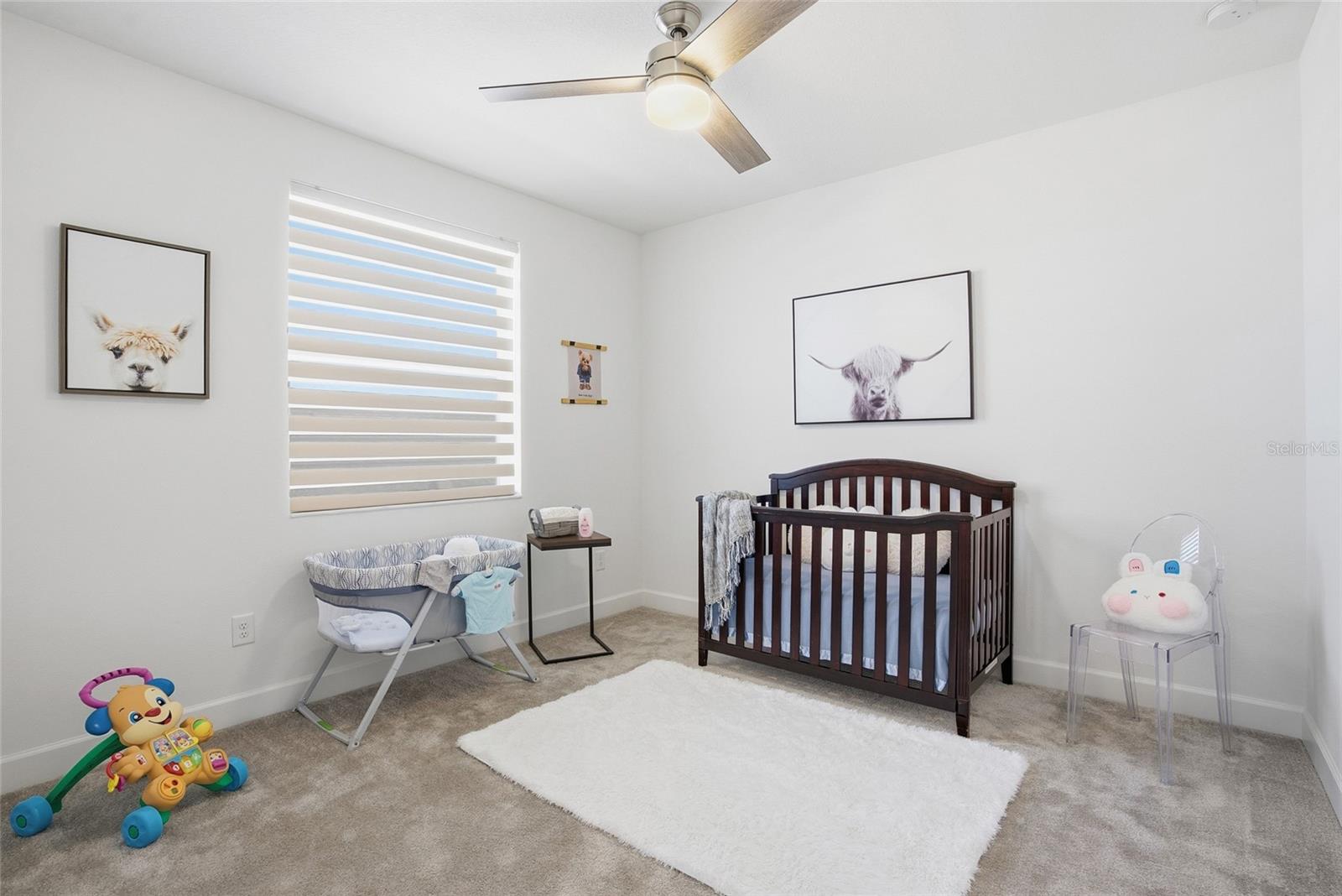 32626 TREE OF LIFE AVE, WESLEY CHAPEL, FL, 33543