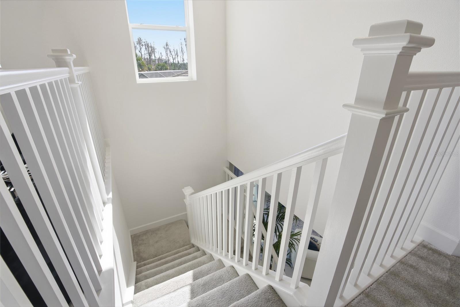 32626 TREE OF LIFE AVE, WESLEY CHAPEL, FL, 33543