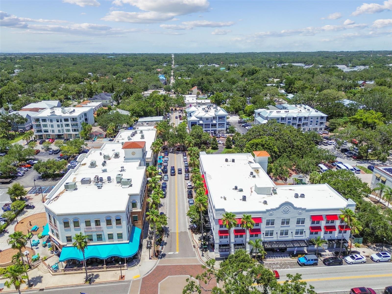 1709 LA FOREST AVE, SAFETY HARBOR, FL, 34695